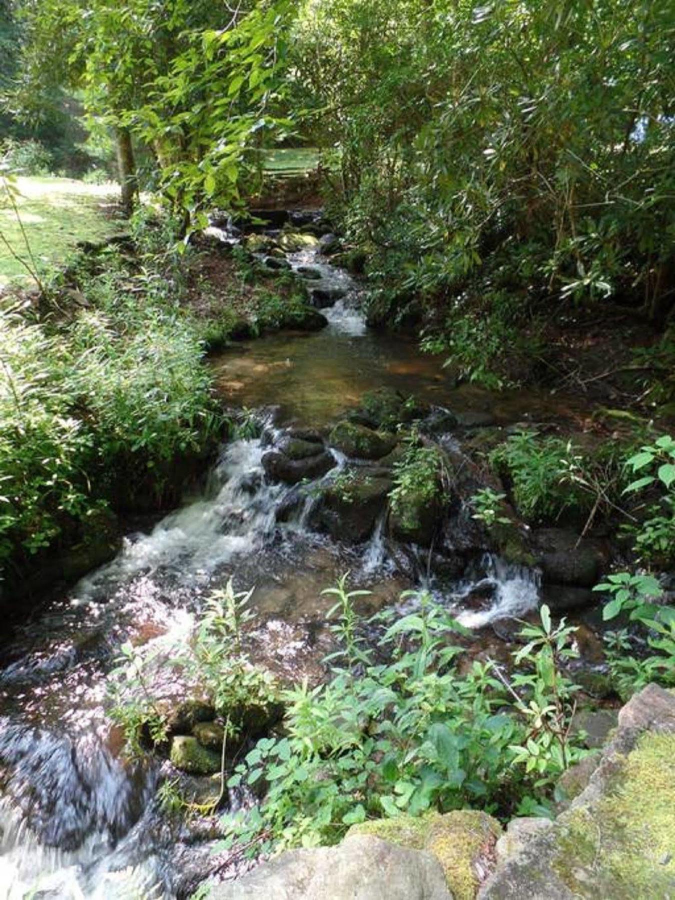 Creekside Paradise Bed And Breakfast Robbinsville Eksteriør billede